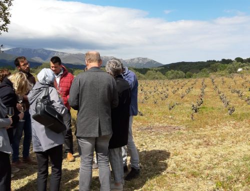 Girona & PO: Missión Inversa “Pyrenees Mediterranean Wine Trip”