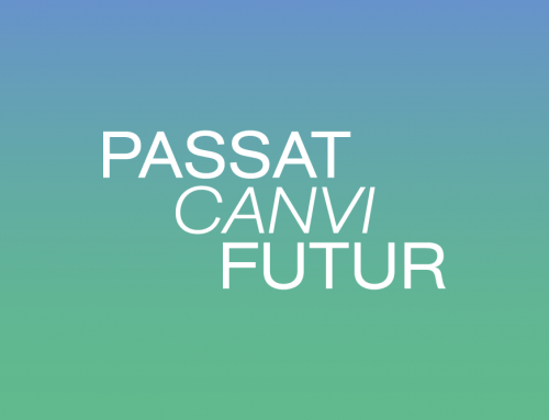 BSW21 Passat Canvi Futur